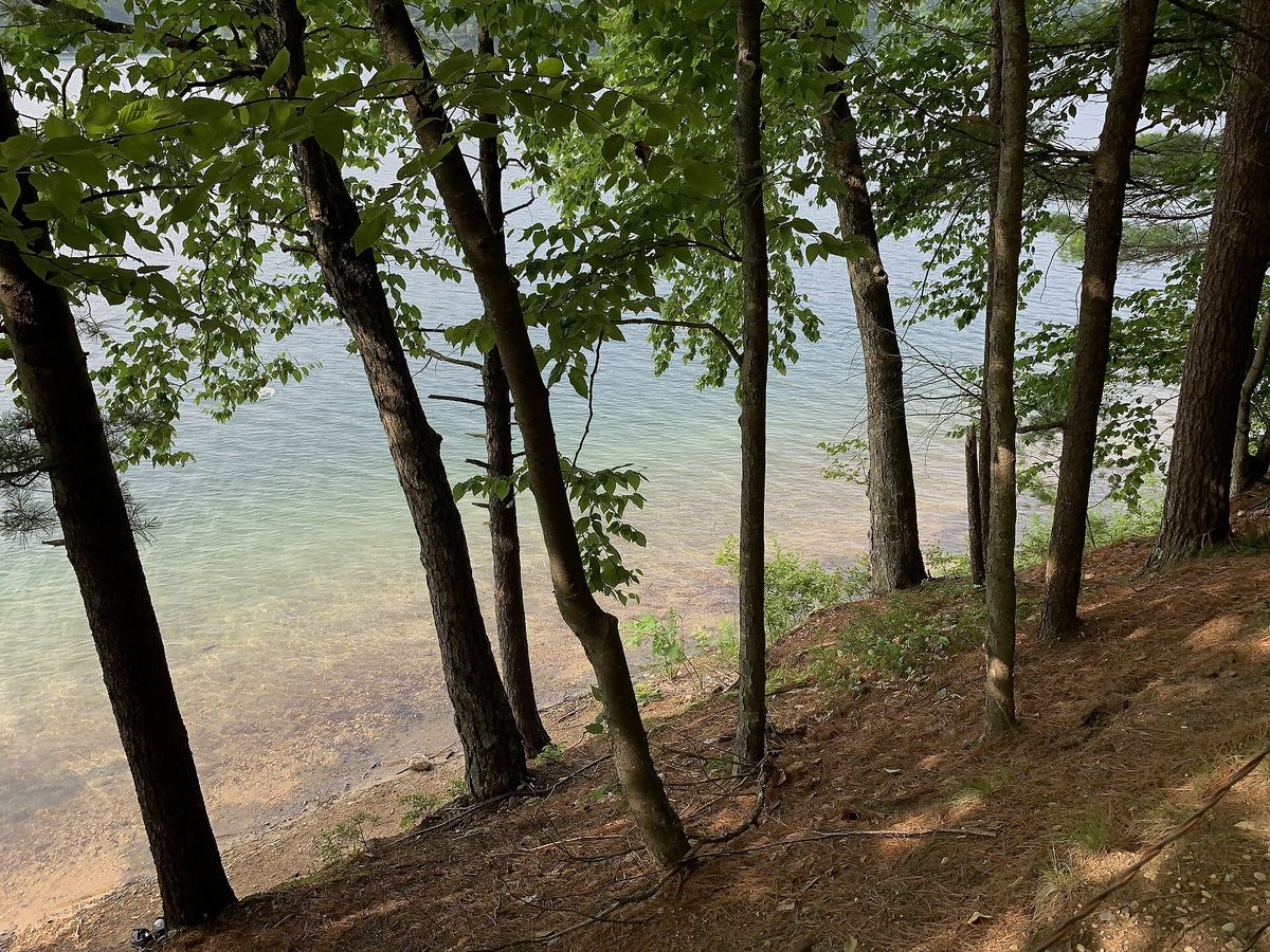 Walden Pond, Concord, Massachusetts